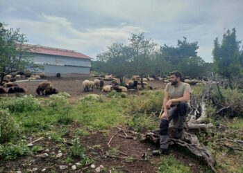 Νίκος Αψώκαρδος: Η κτηνοτροφία είναι ελευθερία